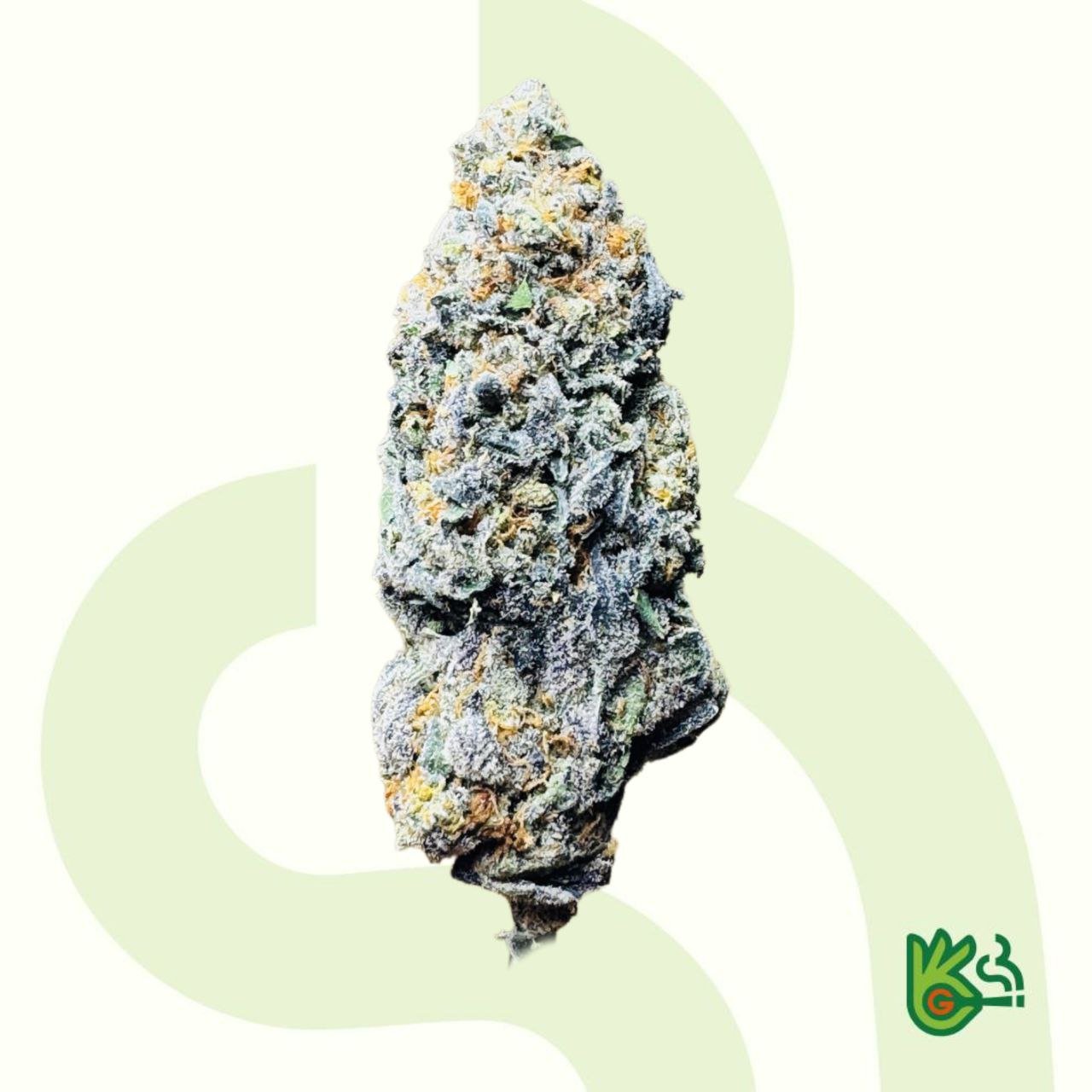buy Sunset Sherbert Cannabis Flower