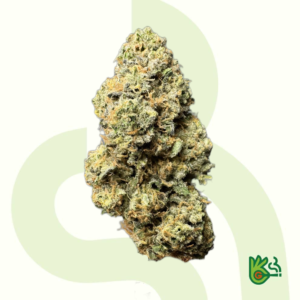 Vitamin Z – Exclusive