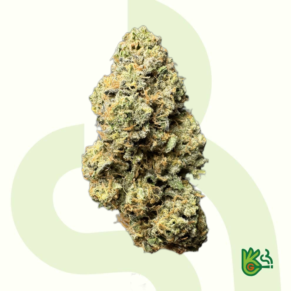 Vitamin Z – Exclusive